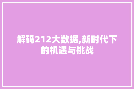 解码212大数据,新时代下的机遇与挑战