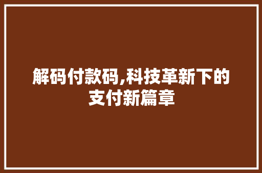 解码付款码,科技革新下的支付新篇章 网站开发