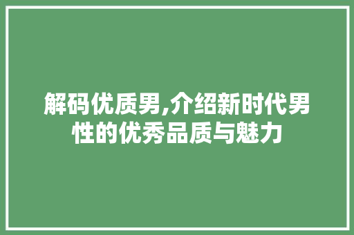 解码优质男,介绍新时代男性的优秀品质与魅力 网站优化