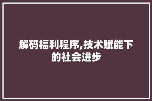 解码福利程序,技术赋能下的社会进步