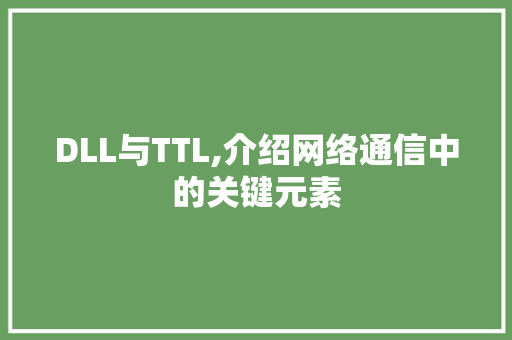 DLL与TTL,介绍网络通信中的关键元素