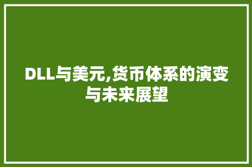 DLL与美元,货币体系的演变与未来展望