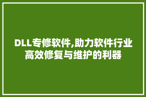 DLL专修软件,助力软件行业高效修复与维护的利器