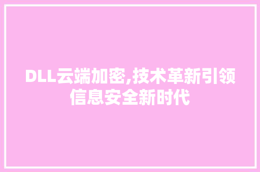 DLL云端加密,技术革新引领信息安全新时代