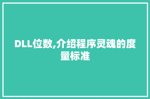 DLL位数,介绍程序灵魂的度量标准