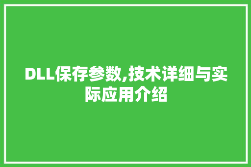 DLL保存参数,技术详细与实际应用介绍