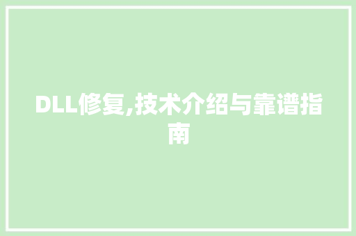 DLL修复,技术介绍与靠谱指南 seo技术