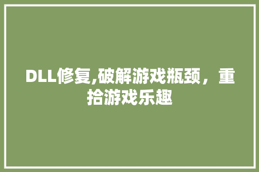 DLL修复,破解游戏瓶颈，重拾游戏乐趣 百度算法