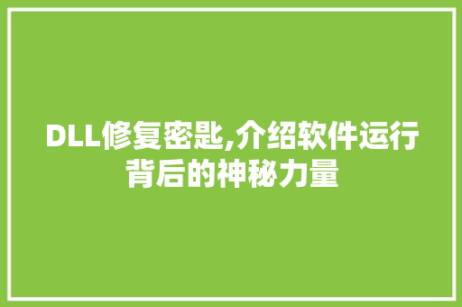 DLL修复密匙,介绍软件运行背后的神秘力量 AI技术学习