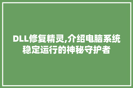 DLL修复精灵,介绍电脑系统稳定运行的神秘守护者