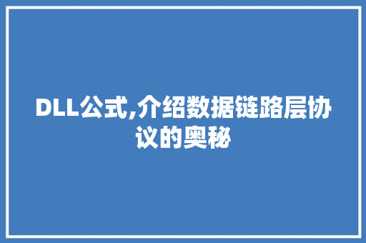 DLL公式,介绍数据链路层协议的奥秘