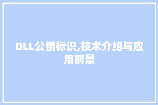 DLL公钥标识,技术介绍与应用前景 seo技术