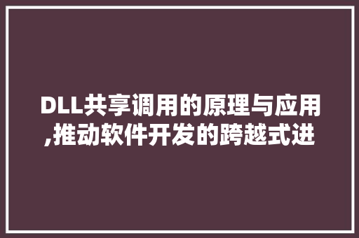 DLL共享调用的原理与应用,推动软件开发的跨越式进步