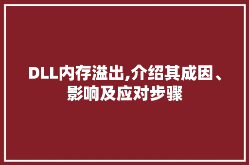 DLL内存溢出,介绍其成因、影响及应对步骤