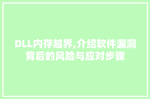 DLL内存越界,介绍软件漏洞背后的风险与应对步骤