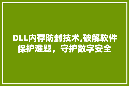 DLL内存防封技术,破解软件保护难题，守护数字安全