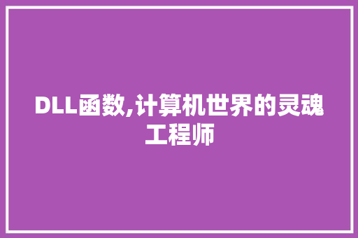 DLL函数,计算机世界的灵魂工程师 seo技术