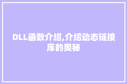 DLL函数介绍,介绍动态链接库的奥秘 网站优化