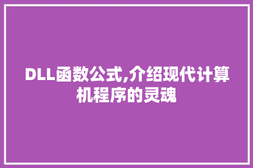 DLL函数公式,介绍现代计算机程序的灵魂