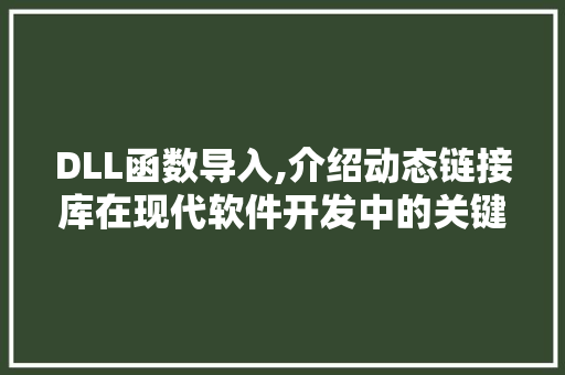 DLL函数导入,介绍动态链接库在现代软件开发中的关键作用