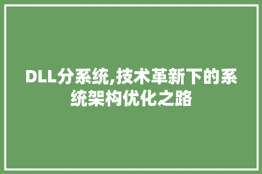 DLL分系统,技术革新下的系统架构优化之路