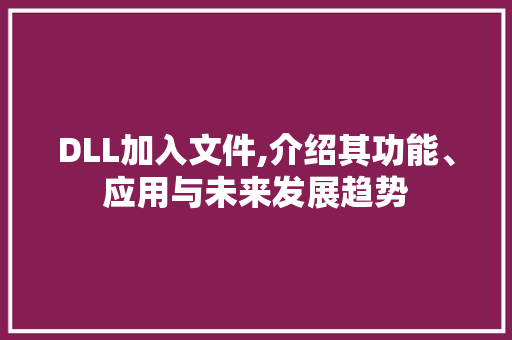 DLL加入文件,介绍其功能、应用与未来发展趋势