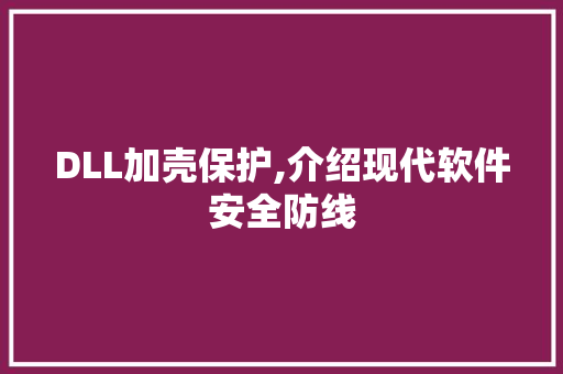 DLL加壳保护,介绍现代软件安全防线