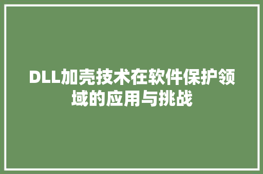 DLL加壳技术在软件保护领域的应用与挑战