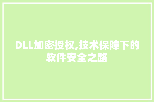 DLL加密授权,技术保障下的软件安全之路