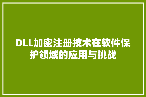 DLL加密注册技术在软件保护领域的应用与挑战