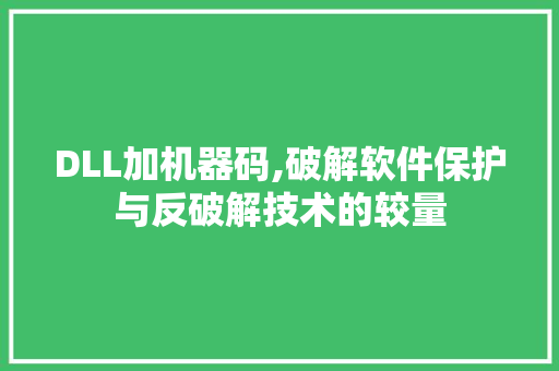 DLL加机器码,破解软件保护与反破解技术的较量 网站开发