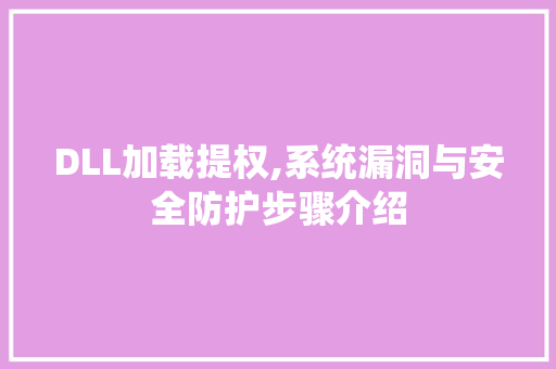 DLL加载提权,系统漏洞与安全防护步骤介绍