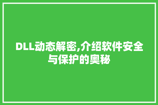 DLL动态解密,介绍软件安全与保护的奥秘