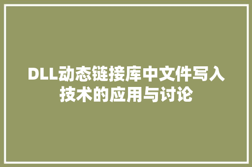 DLL动态链接库中文件写入技术的应用与讨论