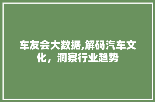 车友会大数据,解码汽车文化，洞察行业趋势 小程序开发