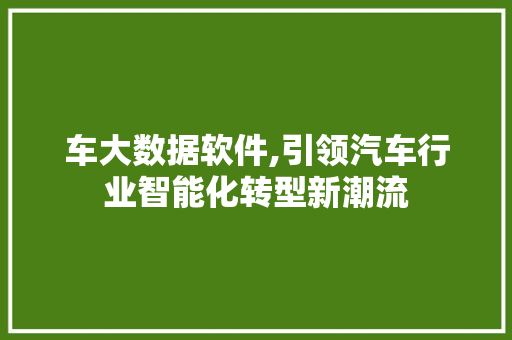 车大数据软件,引领汽车行业智能化转型新潮流