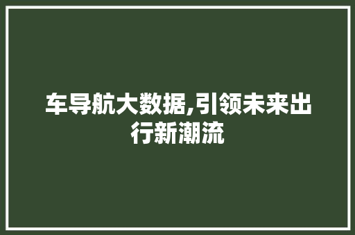 车导航大数据,引领未来出行新潮流