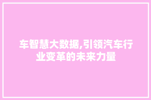 车智慧大数据,引领汽车行业变革的未来力量