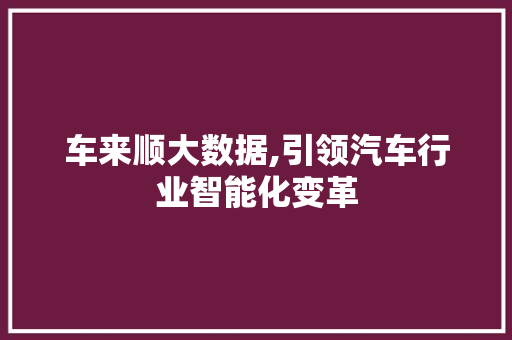 车来顺大数据,引领汽车行业智能化变革