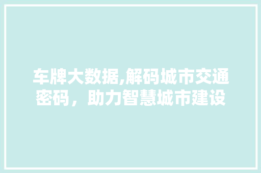 车牌大数据,解码城市交通密码，助力智慧城市建设