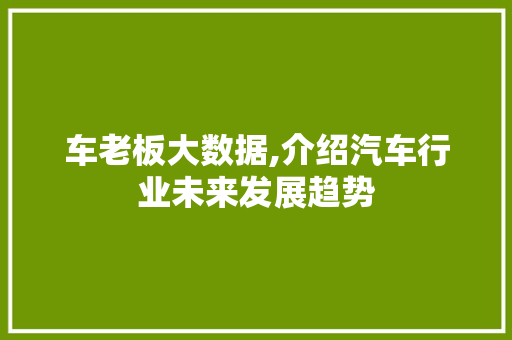 车老板大数据,介绍汽车行业未来发展趋势 英文谷歌算法