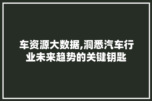 车资源大数据,洞悉汽车行业未来趋势的关键钥匙 头条优化
