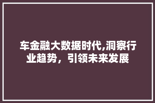 车金融大数据时代,洞察行业趋势，引领未来发展