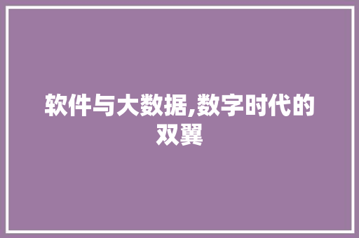软件与大数据,数字时代的双翼