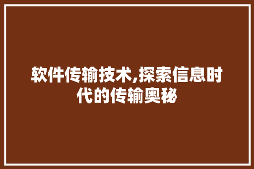 软件传输技术,探索信息时代的传输奥秘 头条优化