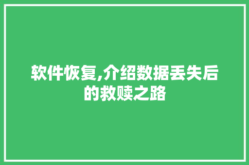 软件恢复,介绍数据丢失后的救赎之路 搜狗优化