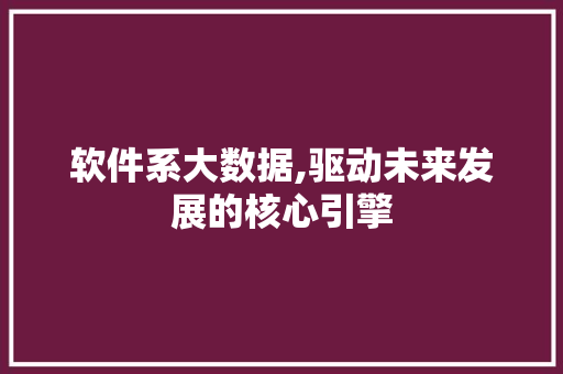 软件系大数据,驱动未来发展的核心引擎