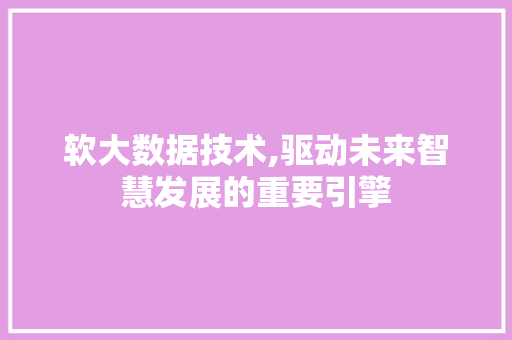 软大数据技术,驱动未来智慧发展的重要引擎 AI技术学习