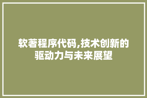 软著程序代码,技术创新的驱动力与未来展望