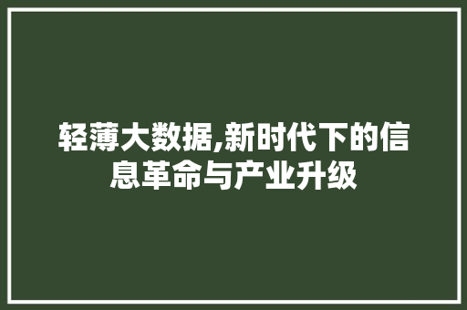 轻薄大数据,新时代下的信息革命与产业升级 seo技术